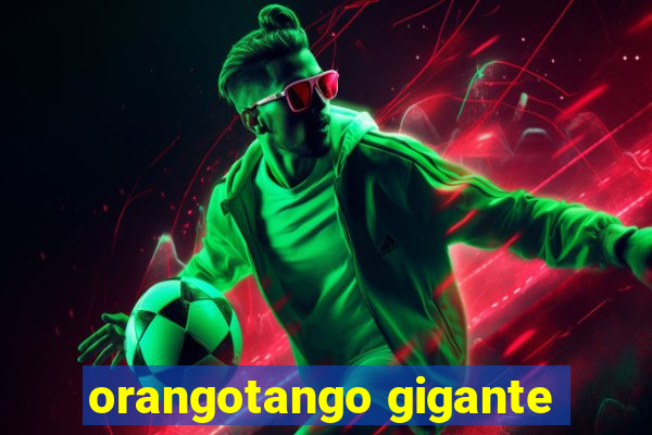 orangotango gigante